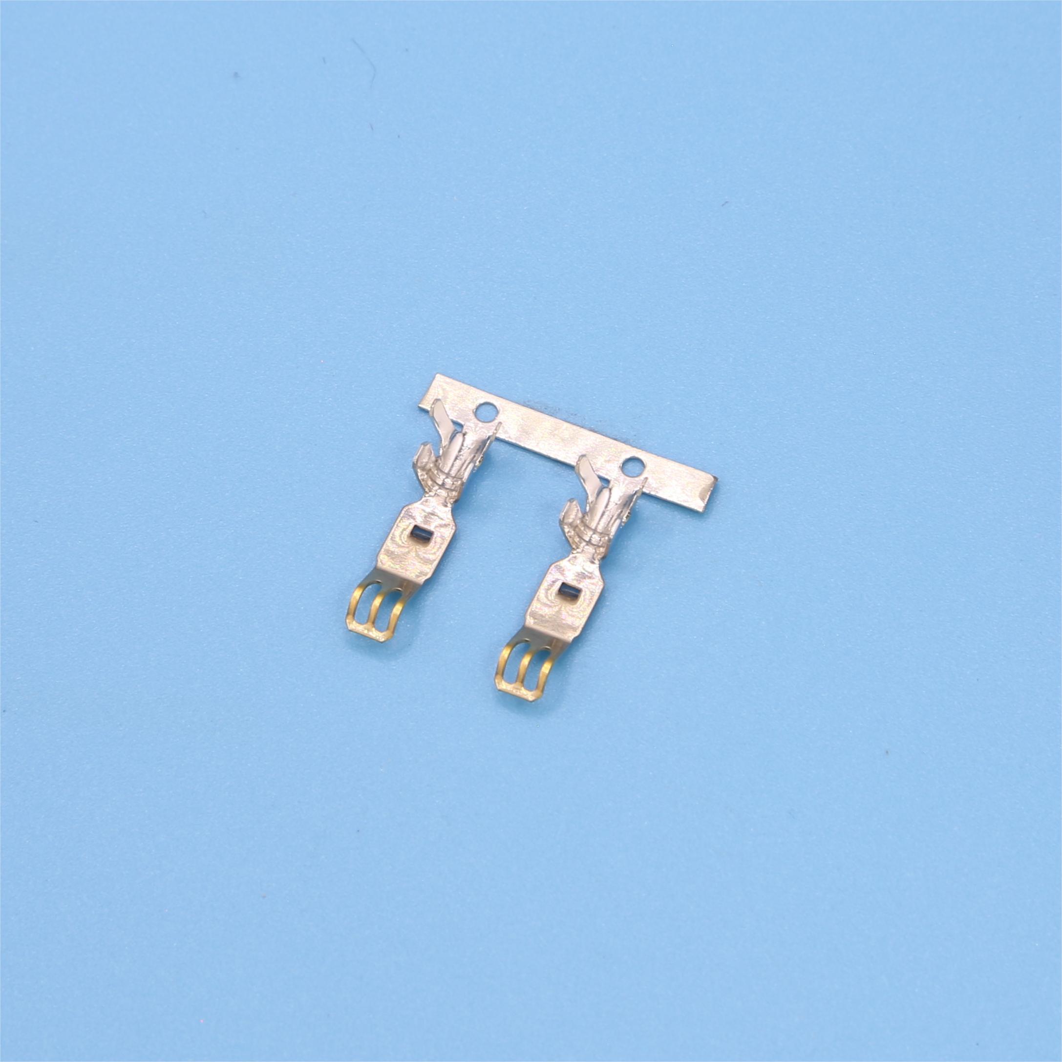 tat3811-t5-d01.jpg