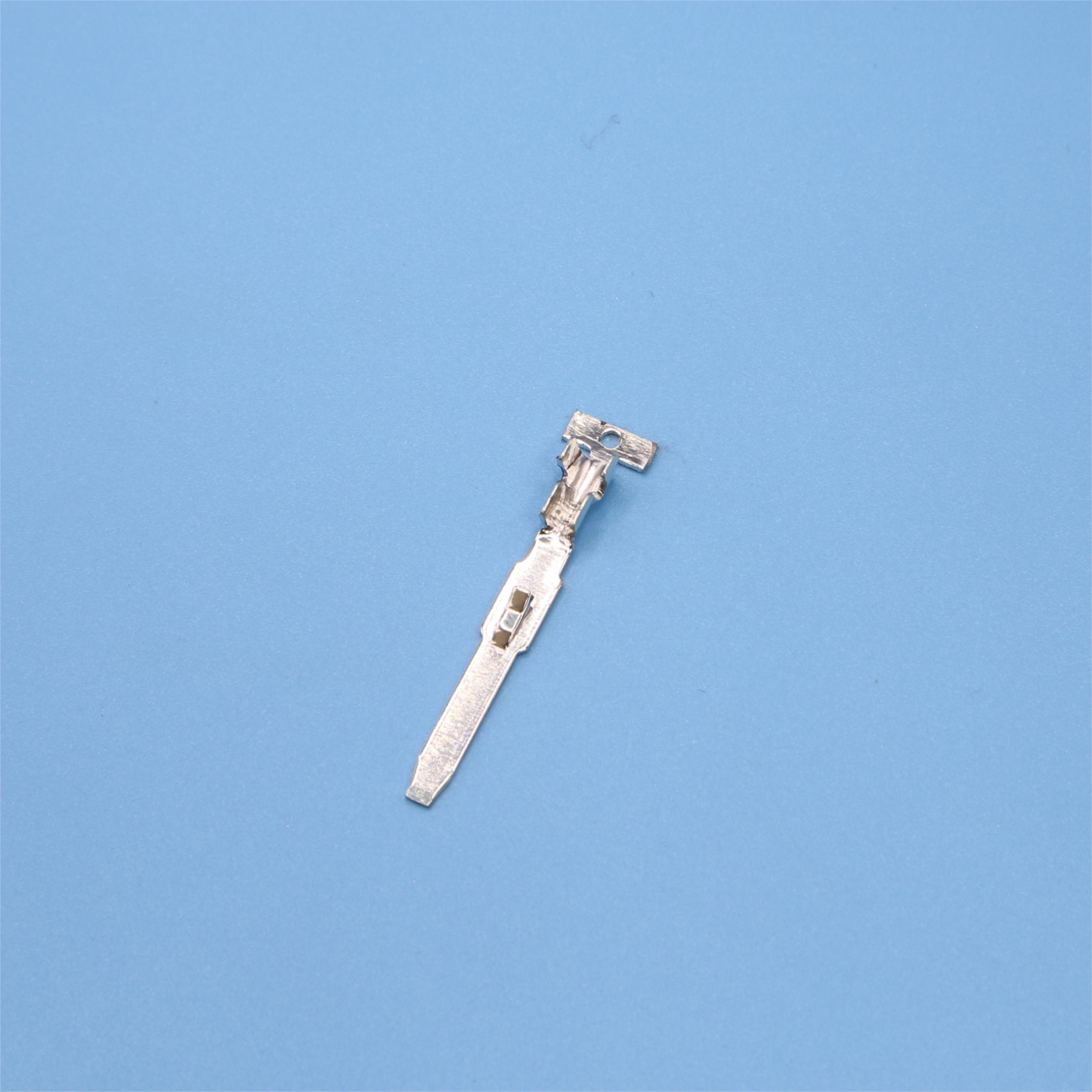 tct6011.jpg
