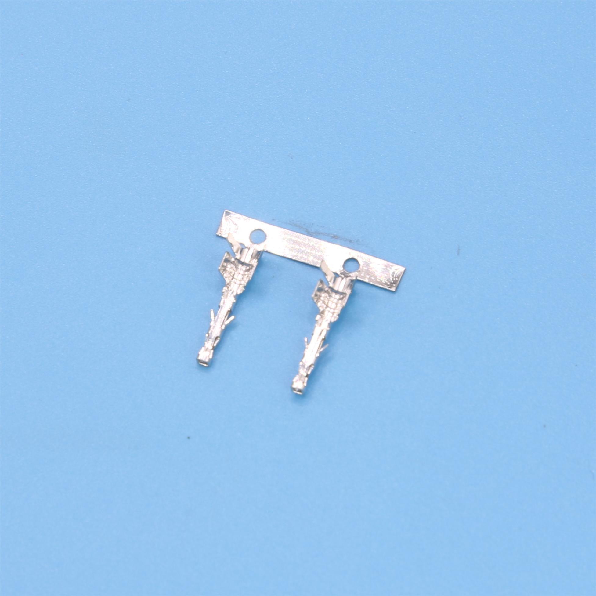 tct3004